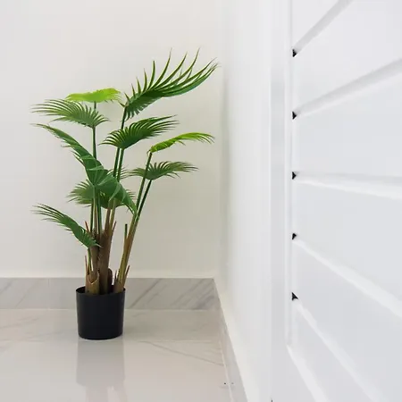 Appartement Caribe By Calpitality Calp